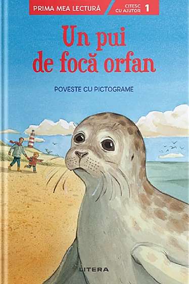 Un pui de foca orfan. Poveste cu pictograme. Nivelul 1
