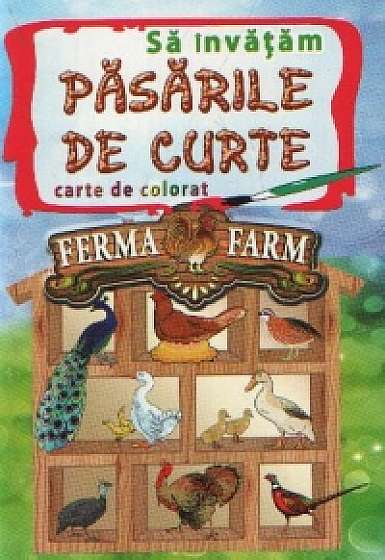 Coperta cărții Sa Invatam Pasarile De Curte de Carte De Colorat