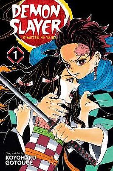Demon Slayer: Kimetsu no Yaiba Vol.1