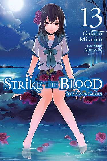 Strike the Blood (Light Novel) - Volume 13