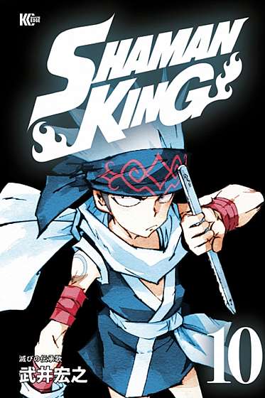 Shaman King - Volumes 13-15
