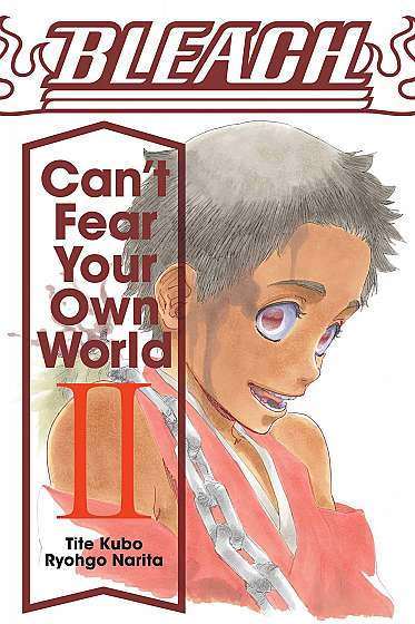 Bleach: Can't Fear Your Own World - Volume 2