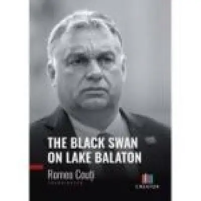 The Black Swan on Lake Balaton