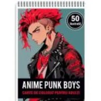 Carte de colorat pentru adulti, 50 de ilustratii Anime Punk Boys