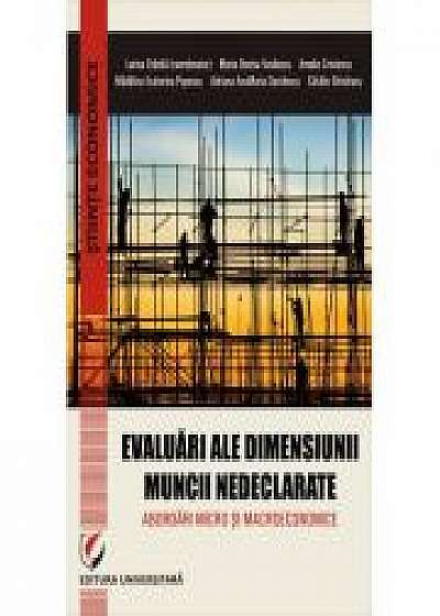 Coperta cărții Evaluari ale dimensiunii muncii nedeclarate. Abordari micro si macroeconomice - Larisa Stanila, Adriana Ana Maria Davidescu, Catalin Ghinararu, Maria