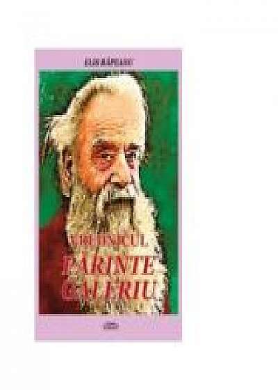 Coperta cărții Vrednicul Parinte Galeriu - Elis Rapeanu