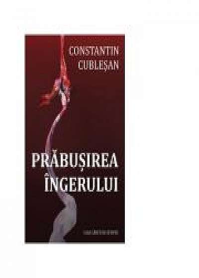 Prabusirea ingerului - Constantin Cublesan