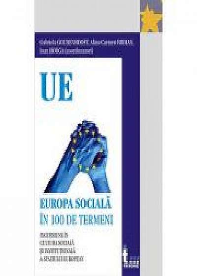 Europa sociala in 100 de termeni - Gabriela Goudenhooft, Alina-Carmen Brihan, Ioan Horga