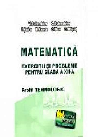 Matematica - Exercitii si probleme pentru clasa a XII-a. Profilul Tehnologic - Elemente de teorie, exercitii si probleme rezolvate, exercitii si probl