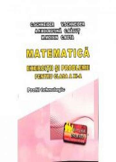 Matematica - Exercitii si probleme pentru clasa a XI-a. Profilul Tehnologic - Elemente de teorie, exercitii si probleme rezolvate, exercitii si proble