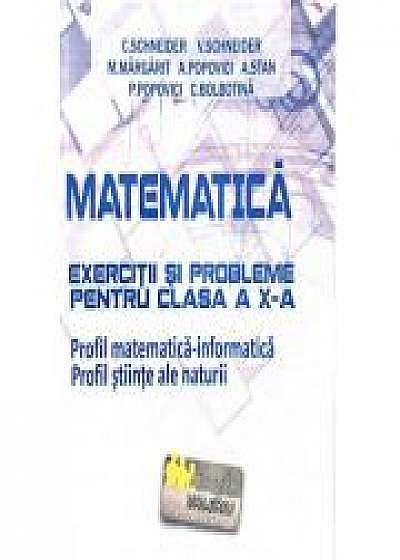 Matematica - Exercitii si probleme pentru clasa a X-a. Profil matematica-informatica, editie noua - revizuita - Virgiliu Schneider