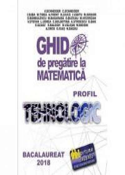 Bacalaureat 2019 - Ghid de pregatire la Matematica. Profil Tehnologic