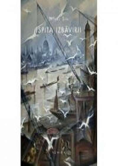 Ispita izbavirii (paperback) - Mihai Sin