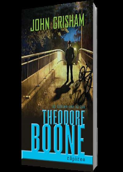 Theodore Boone: Rapirea