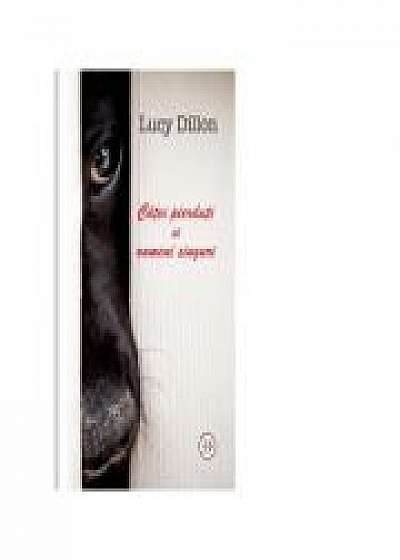 Catei pierduti si oameni singuri - LUCY DILLON