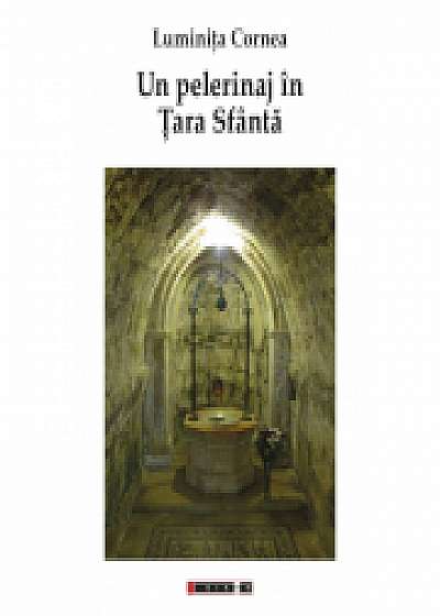 Un pelerinaj in Tara Sfanta - Luminita Cornea