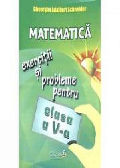 Matematica exercitii si probleme pentru clasa a V-a