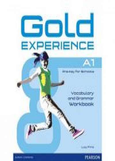 Gold Experience A1 Workbook without key - Lucy Frino