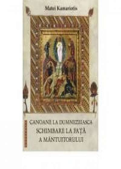 Coperta cărții Canoane la dumnezeiasca Schimbare la Fata a Mantuitorului - Matei Kamariotis