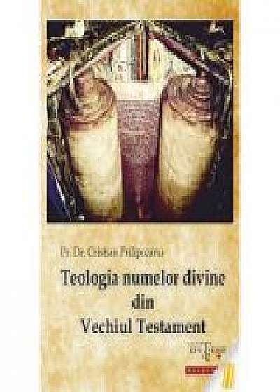 Coperta cărții Teologia numelor divine din Vechiul Testament - Pr. dr. Cristian Prilipceanu de Pr. Dr. Cristian  Prilipceanu