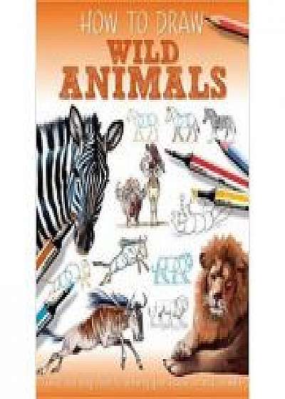 Wild Animals - How to Draw