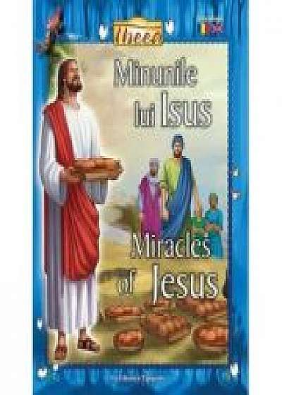 Minunile lui Iisus/Miracles of Jesus - Tanya Luther Agarwal
