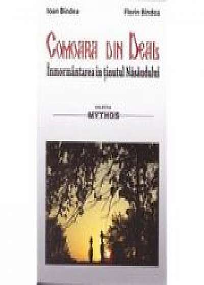Coperta cărții Comoara din Deal. Inmormantarea in tinutul Nasaudului - Ioan Bindea, Florin Bindea