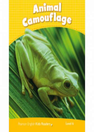 Level 6: Animal Camouflage CLIL - Caroline Laidlaw