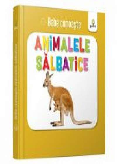 Coperta cărții Animalele salbatice. Bebe Cunoaste