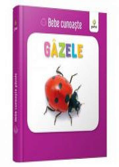 Coperta cărții Gazele. Bebe Cunoaste