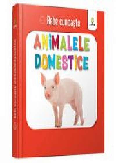 Coperta cărții Animalele domestice. Bebe Cunoaste