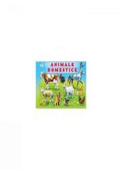 Coperta cărții Animale domestice. Carte cu 100 de abtibilduri﻿