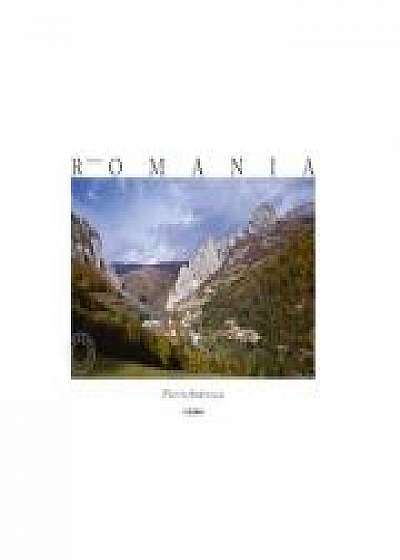 Album Made in Romania (engleza) - Florin Andreescu, Mariana Pascaru