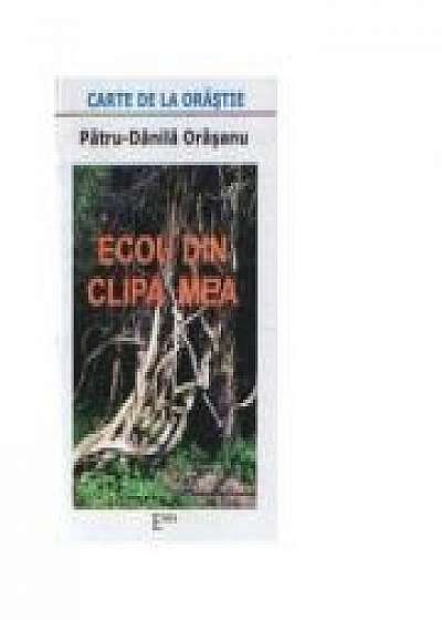Coperta cărții Ecou din clipa mea - Patru Danila Orasanu