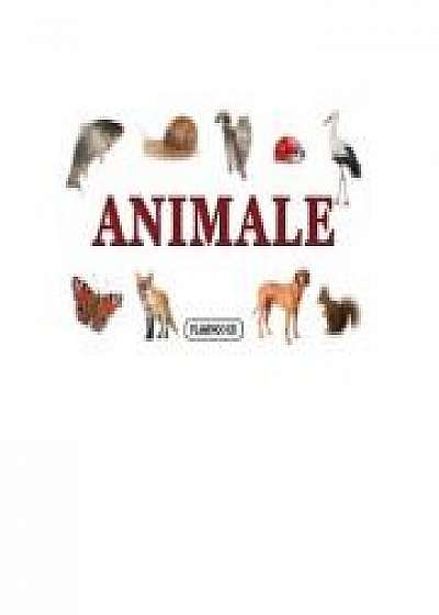 Coperta cărții Animale - pliant cartonat