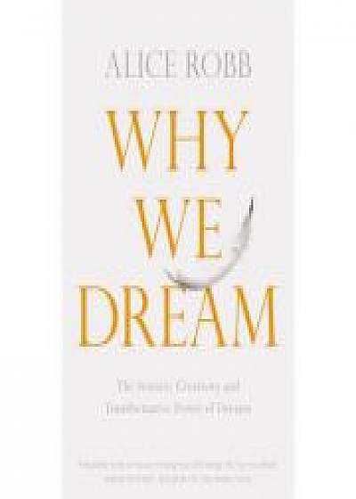 Why We Dream - Alice Robb