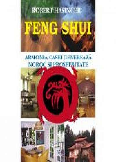 Coperta cărții Feng shui - Robert Hasinger