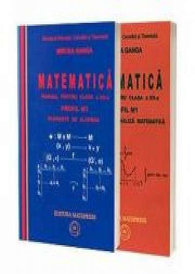 Mircea Ganga,( Vol. 1+2) Manual pentru matematica, clasa XII-a, Profil M1