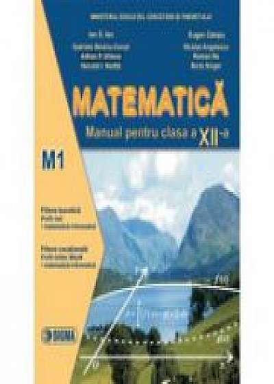 Manual de matematica, clasa XII-a, Profil M1 (Ion D. Ion)
