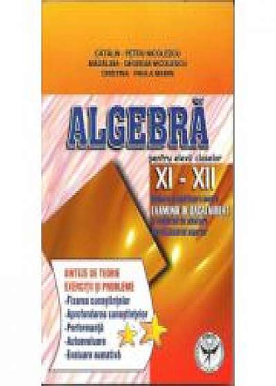 Algebra, clasele XI-XII. Subiecte pregatitoare pentru examenul de bacalaureat