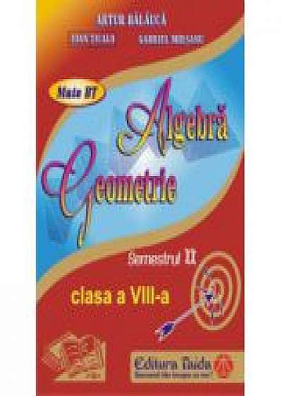 Auxiliar De Algebra Si Geometrie - Clasa A Viii-a, Sem Ii (2014)