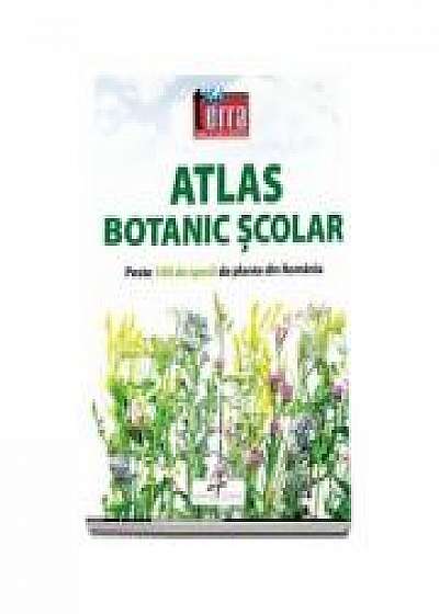 Atlas Botanic Scolar - Peste 100 de specii de plante din Romania