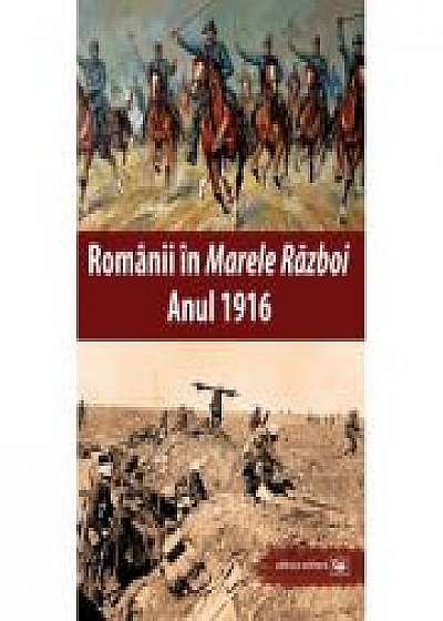 Romanii in „Marele Razboi”. Anul 1916. Documente, impresii, marturii - Mihail E. Ionescu (coord.)