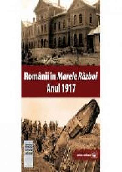 Romanii in Marele Razboi. Anul 1917. Documente, impresii, marturii -  Mihail E. Ionescu (coord.) 