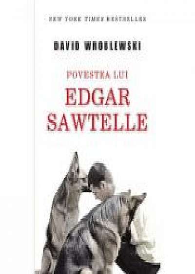 Povestea lui Edgar Sawtelle - David Wroblewski