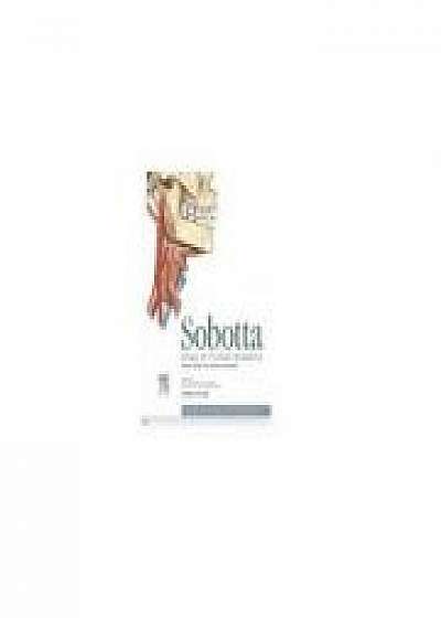 Sobotta Atlas of Human Anatomy, Head, Neck and Neuroanatomy, VOLUME 3: HEAD, NECK AND NEUROANATOMY - WITH ONLINE ACCESS