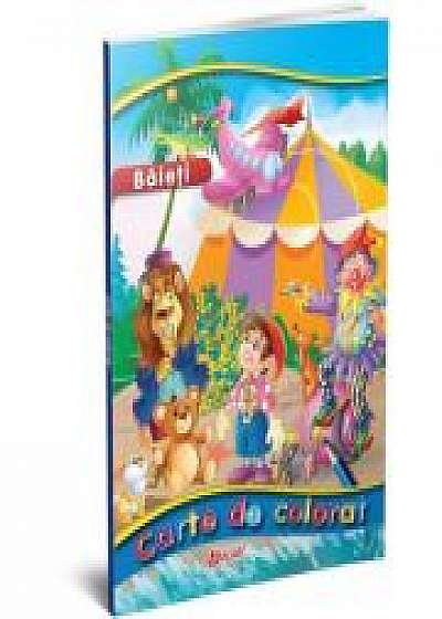 Coperta cărții Carte De Colorat A4. Baieti