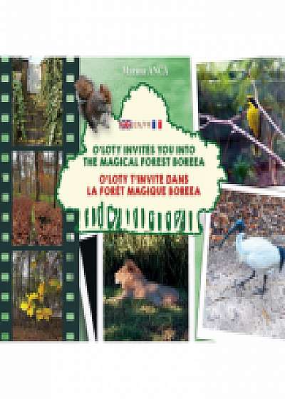 O’Loty invites you into the magical forest Boreea / O’Loty t’invite dans la forêt magique Boreea - Marina Anca