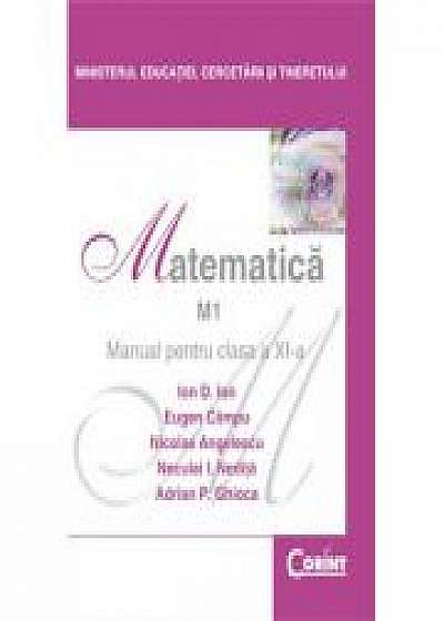 Manual matematica (M1) - clasa a XI-a, (Ion D. Ion)