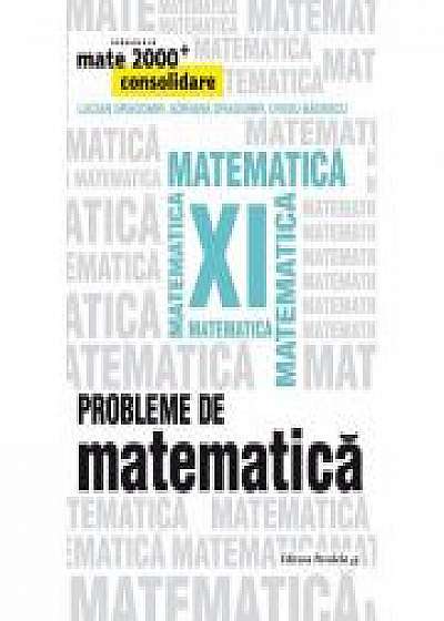Probleme de matematică pentru clasa a XI-a, Mate 2000+ Consolidare